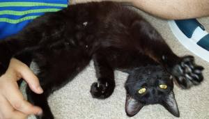 Seren playing with her foster family