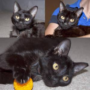 Seren's online dating profile