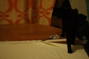 You know what doesn't help? With anything at all? A CAT.